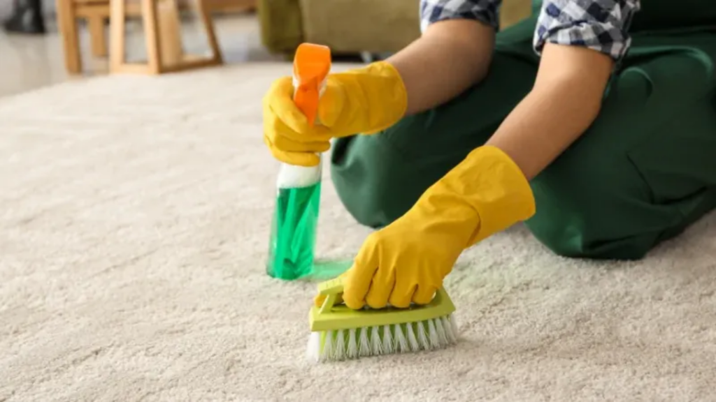 Our Carpet Cleaning Process